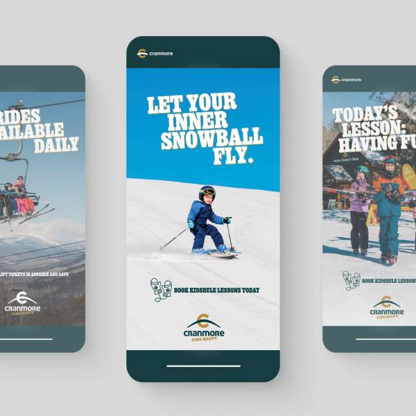 Cranmore Stories Grid