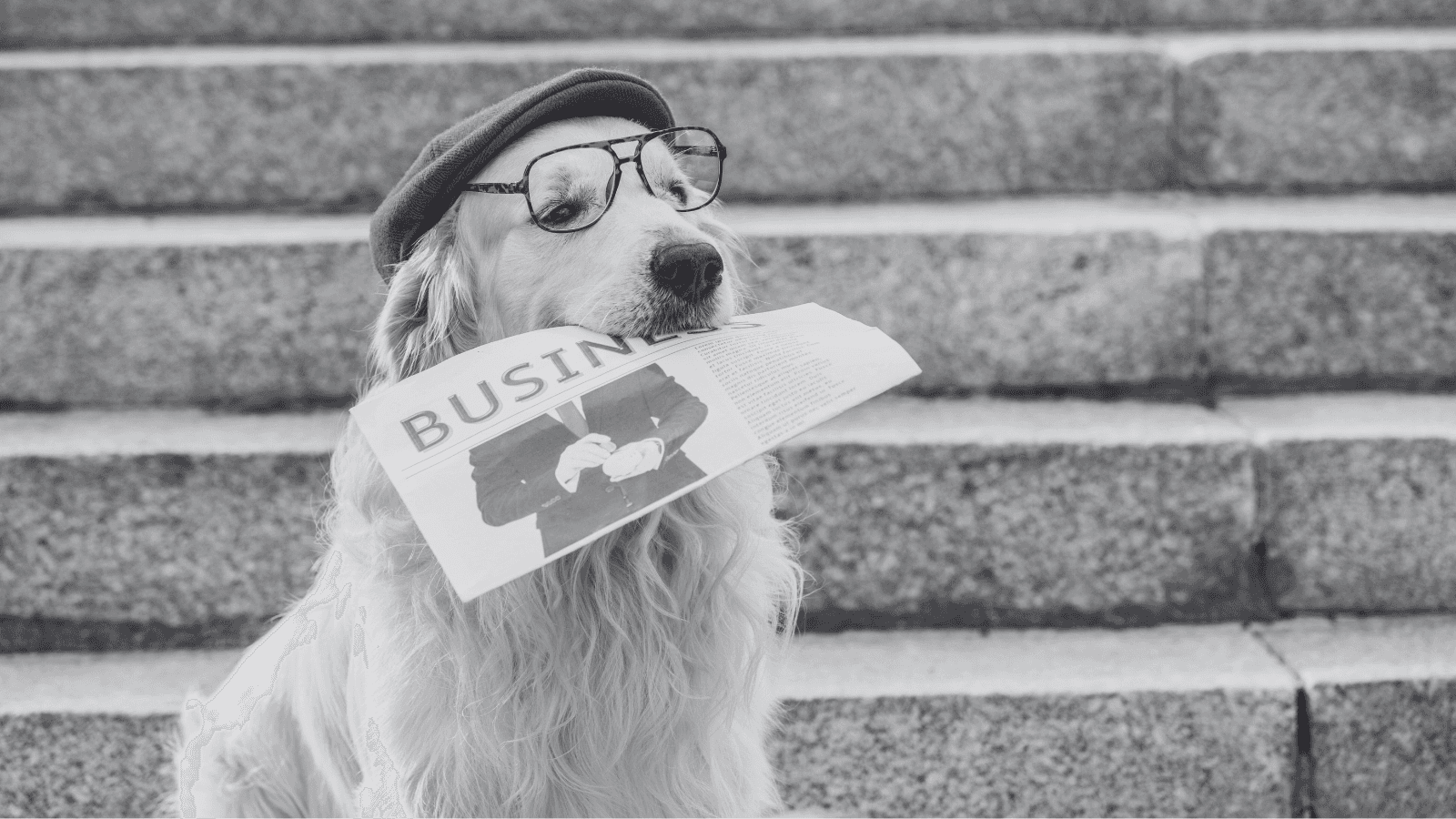 Press Release Blog Hero