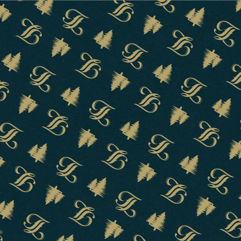 Website 02