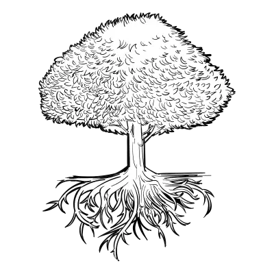 Doodles 0030 tree roots