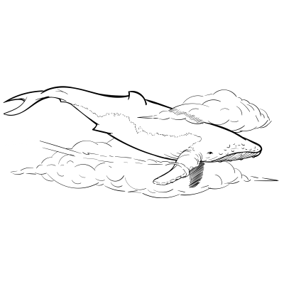 Doodles 0000 Whale